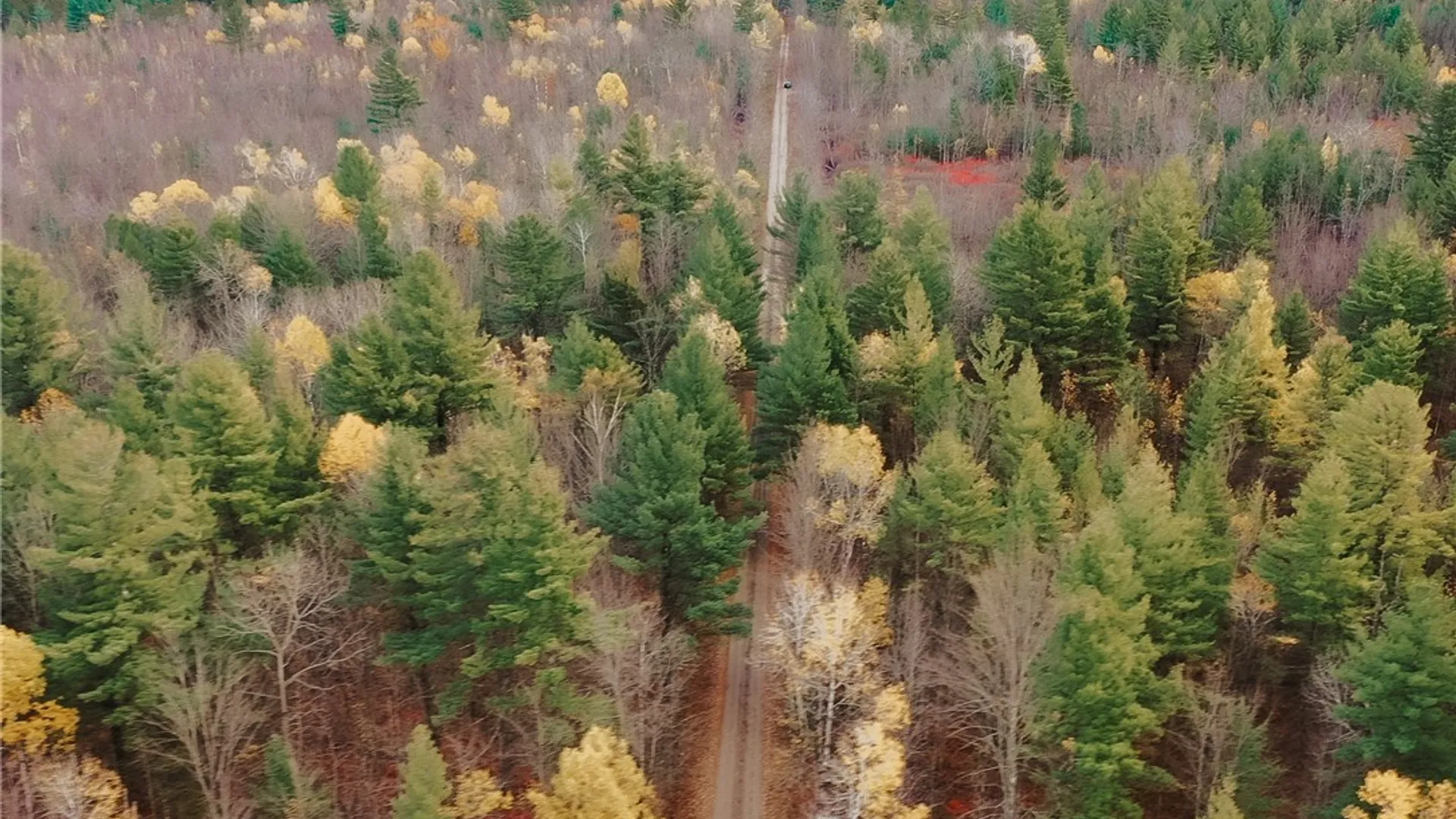 Property at Smith Road, NY 13613 8