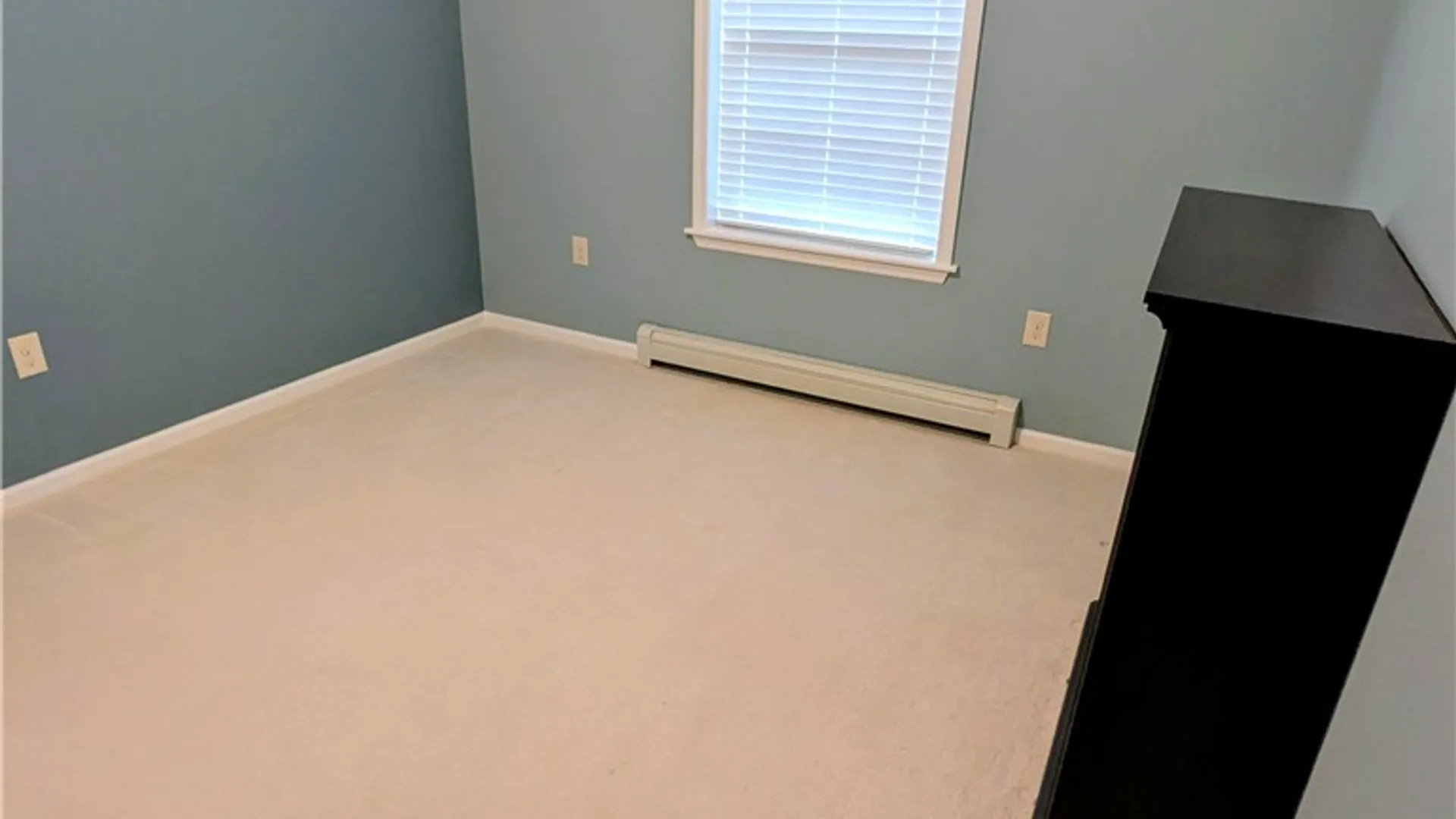 Property at 232 Canal Street, Montour, NY 14865 19