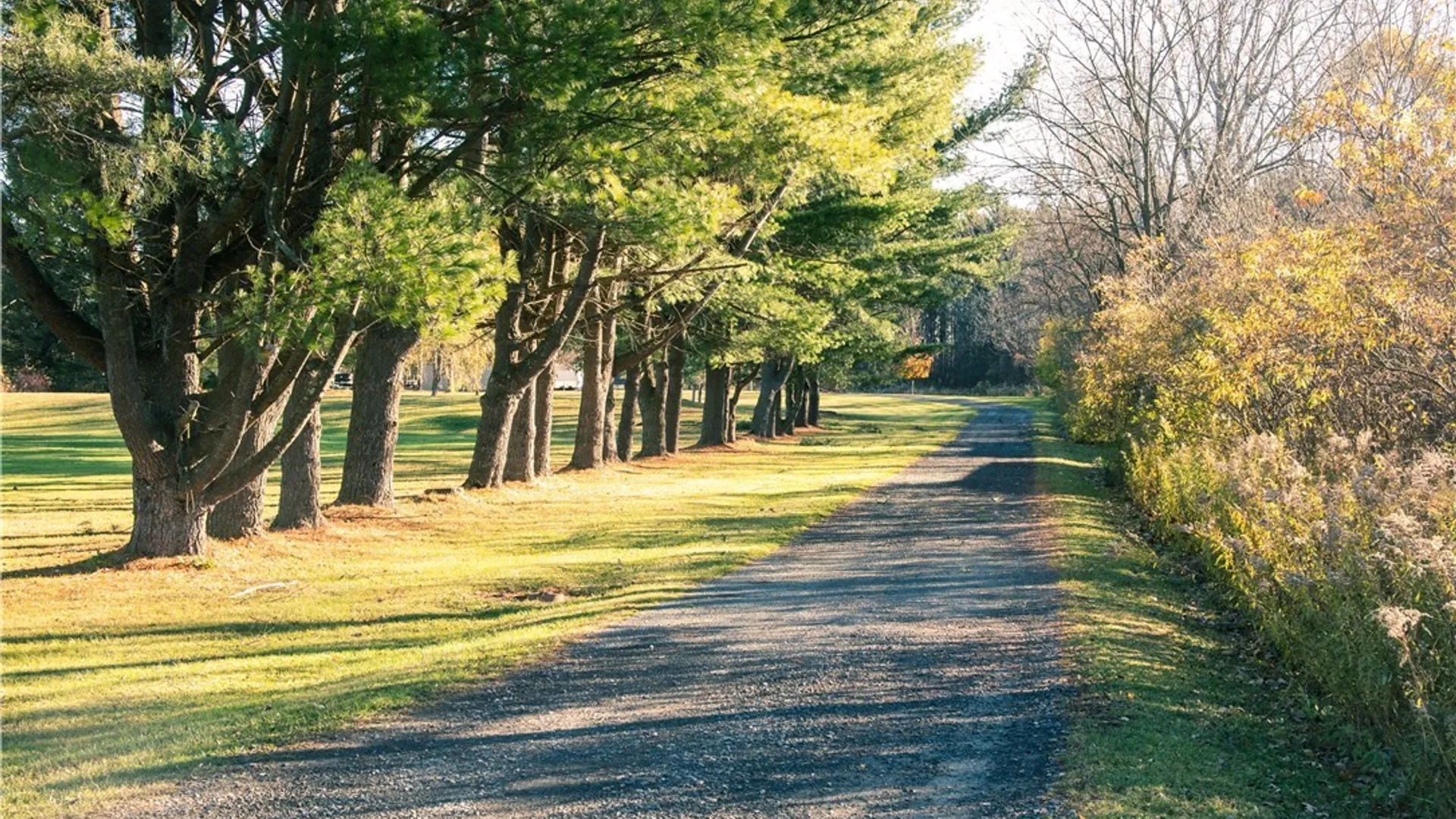 Property at 87 Armstrong Road, Lansing, NY 14882 40