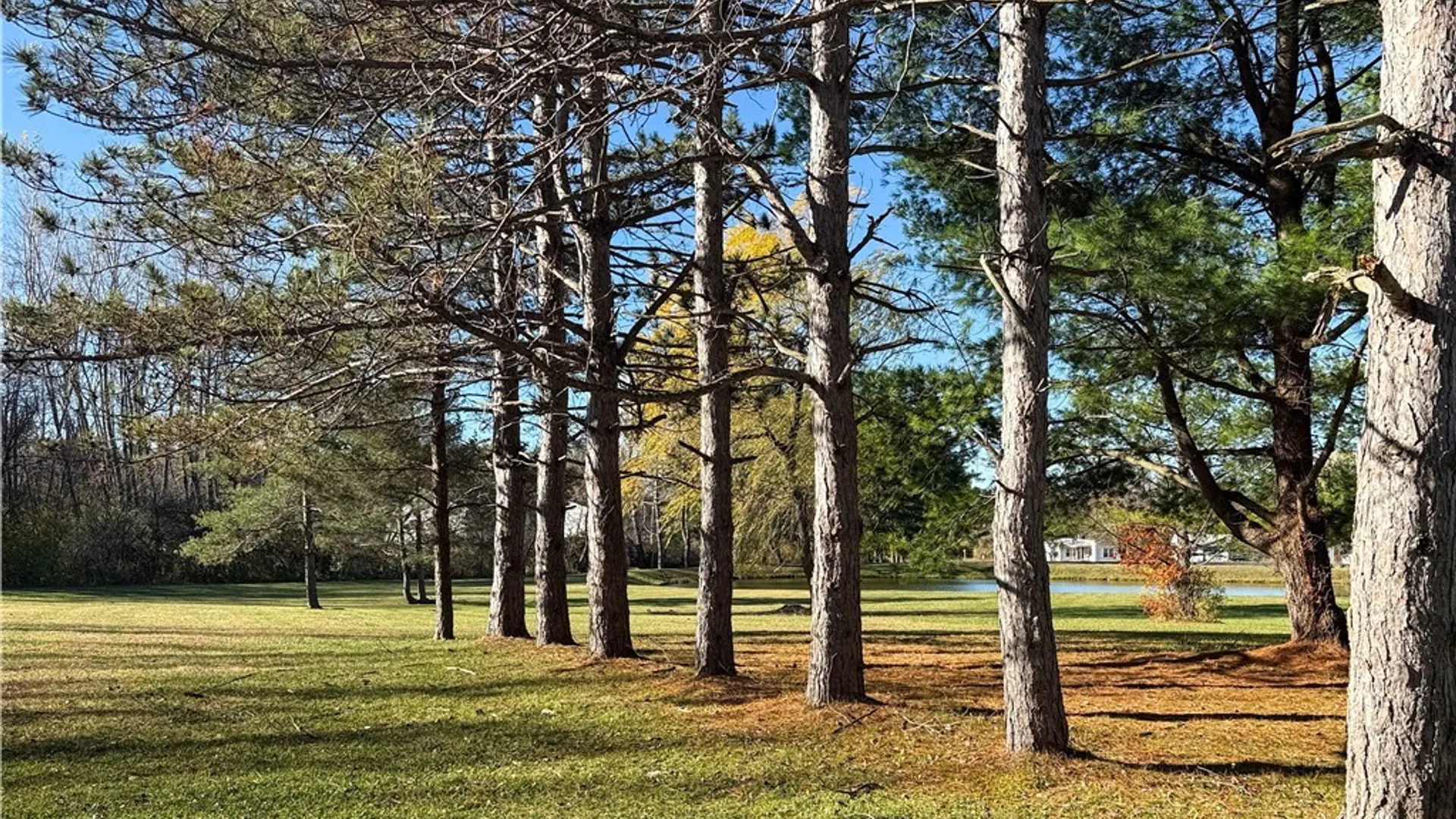 Property at 87 Armstrong Road, Lansing, NY 14882 47