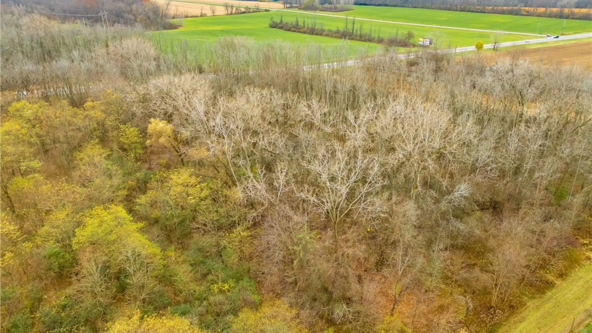 Property at 0 State Routes 5 and 20 Highway, Seneca, NY 14456 5