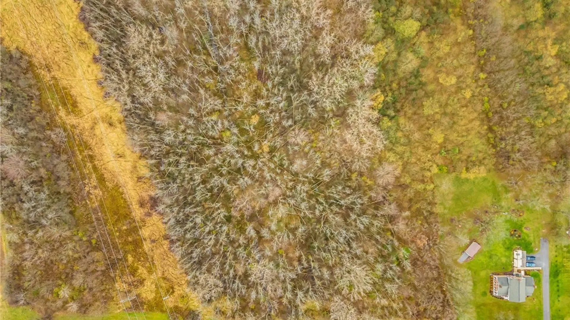 Property at 0 State Routes 5 and 20 Highway, Seneca, NY 14456 6