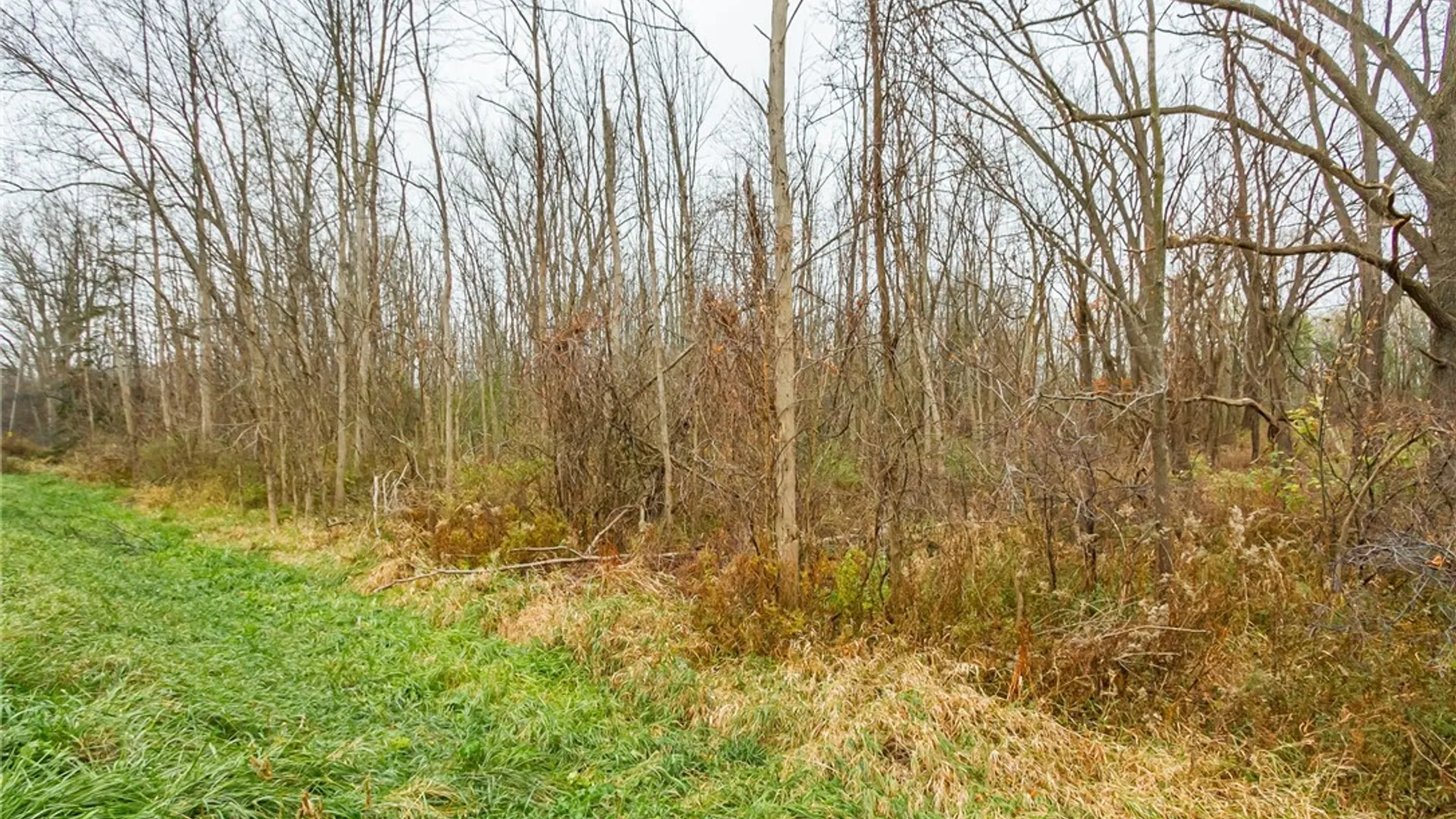 Property at 0 State Routes 5 and 20 Highway, Seneca, NY 14456 7