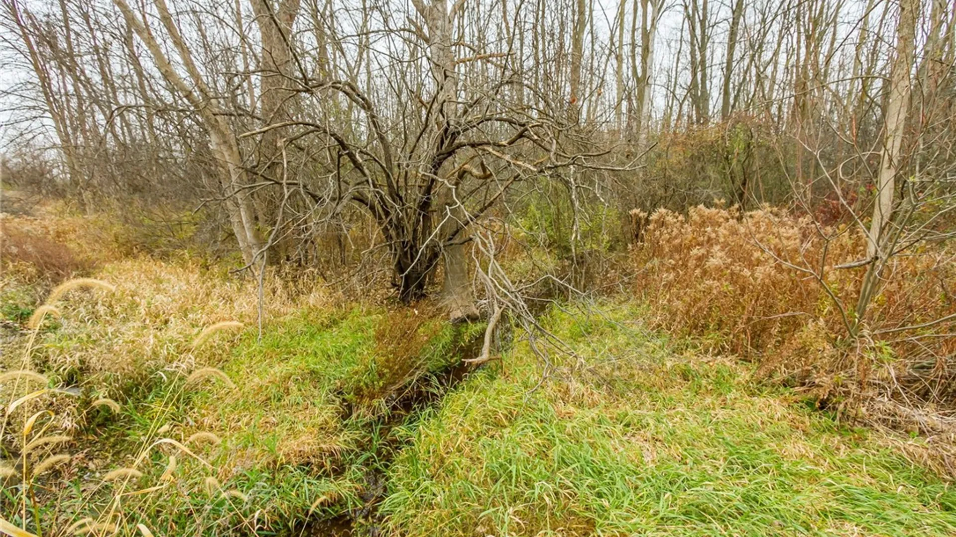 Property at 0 State Routes 5 and 20 Highway, Seneca, NY 14456 8