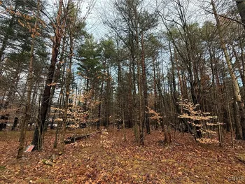 Property at 5098 Rugby Road, Greig, NY 13312