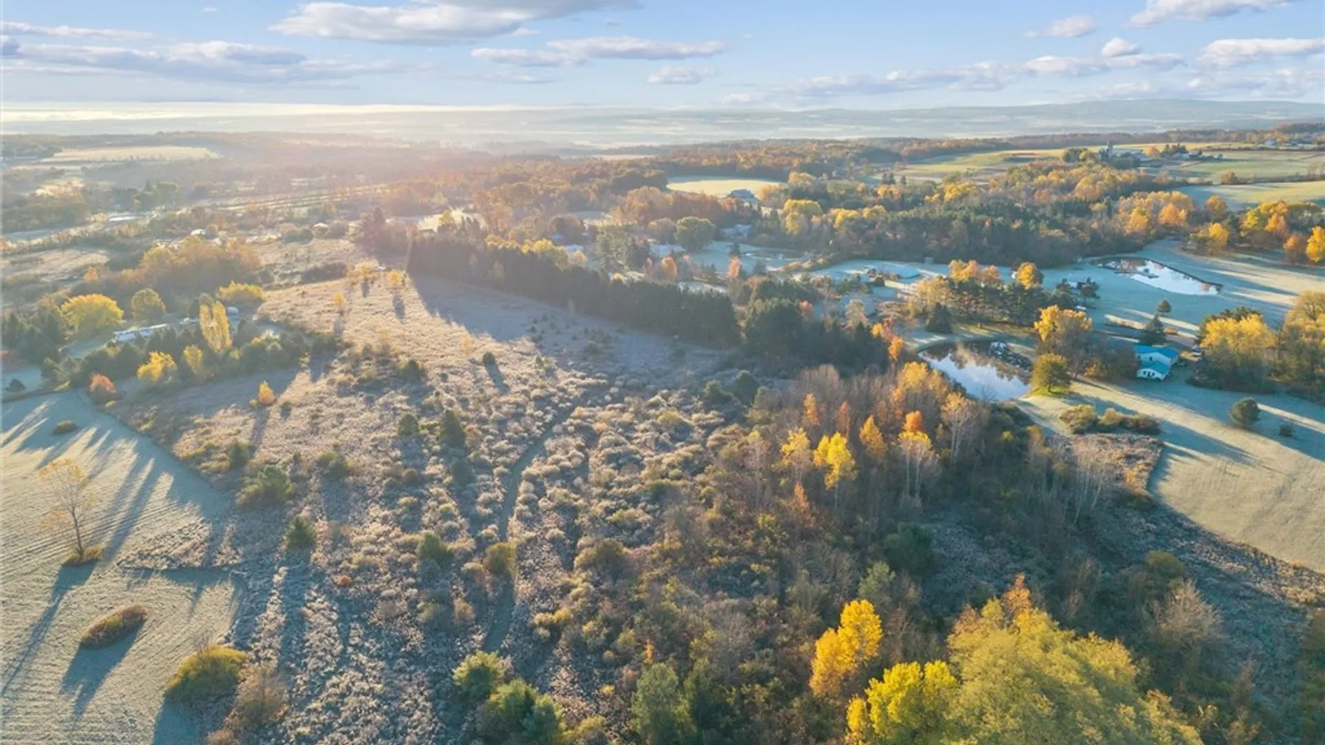 Property at 0 Cook Road, Hector, NY 14886 16