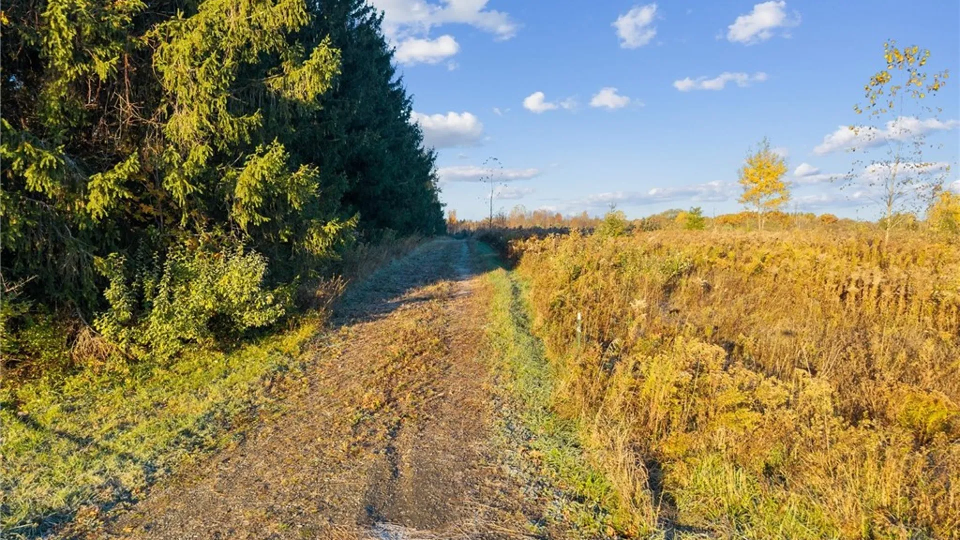 Property at 0 Cook Road, Hector, NY 14886 2