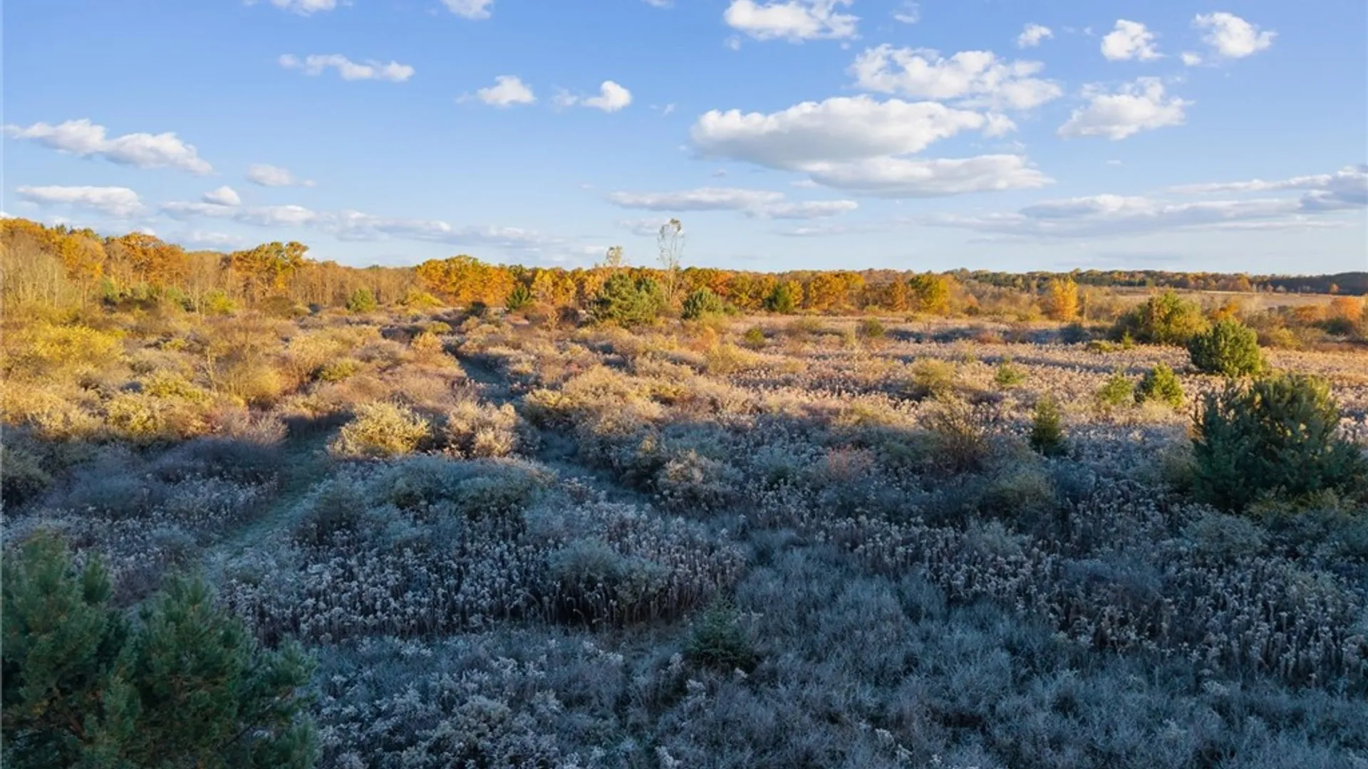 Property at 0 Cook Road, Hector, NY 14886 3