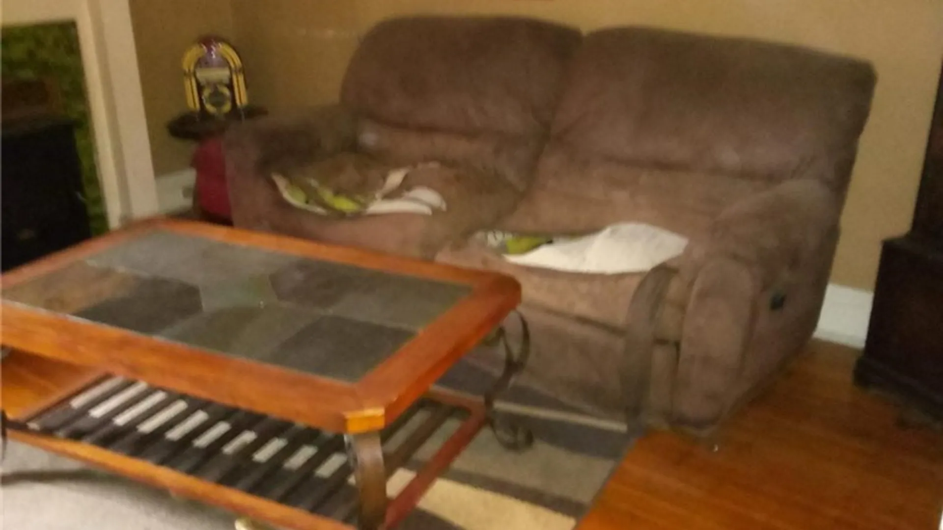 Property at 256 Augustine Street, Rochester, NY 14613 4