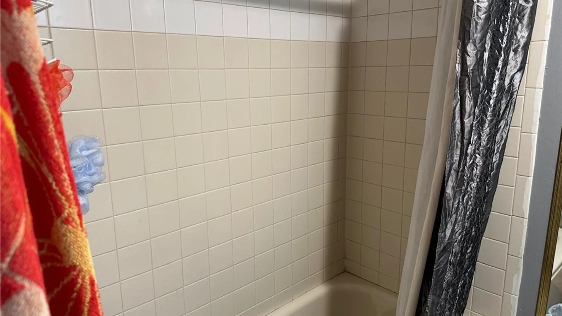 Property at 256 Augustine Street, Rochester, NY 14613 7