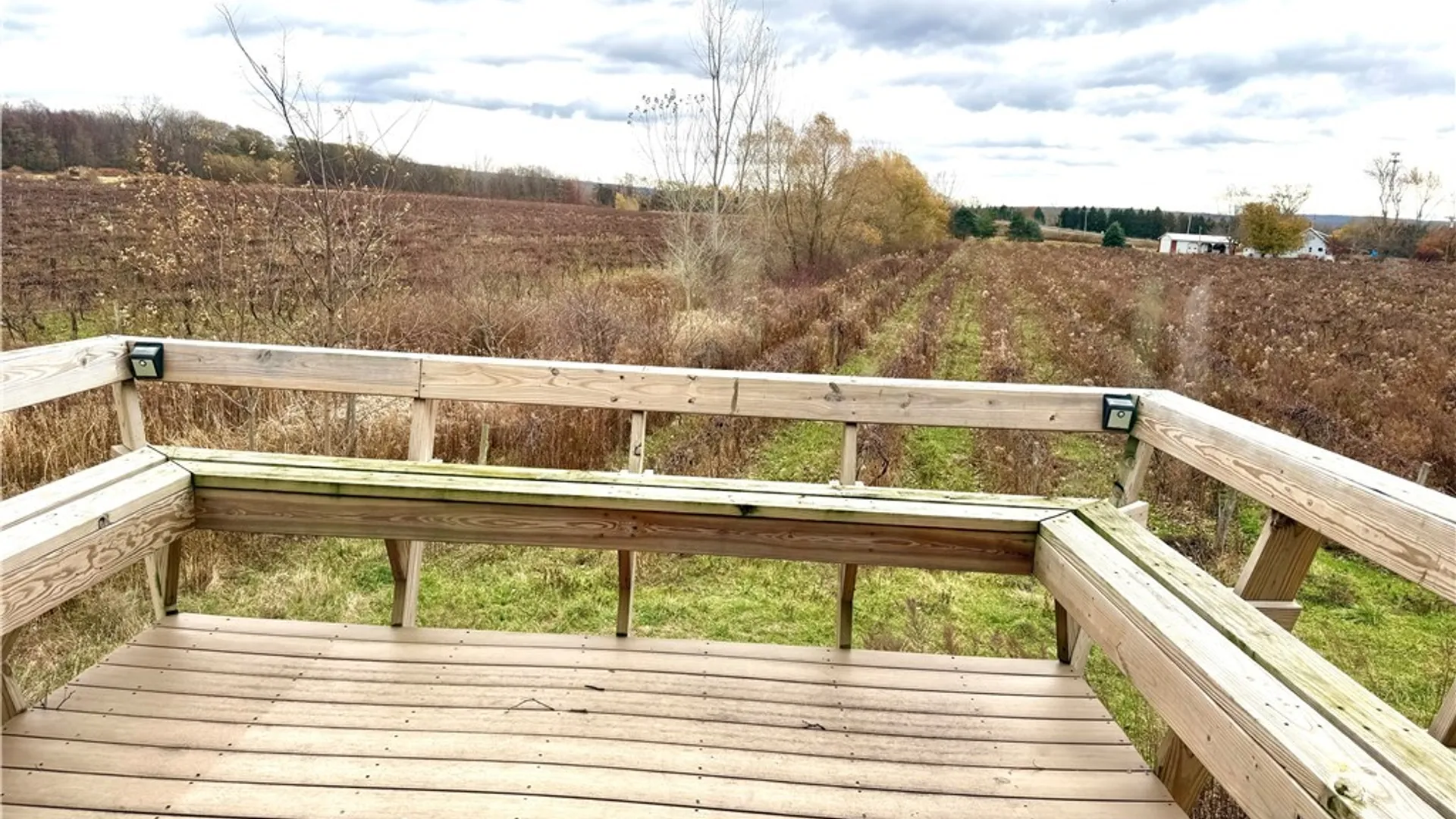 Property at 4573-4599 Willow Road, Dunkirk, NY 14048 15