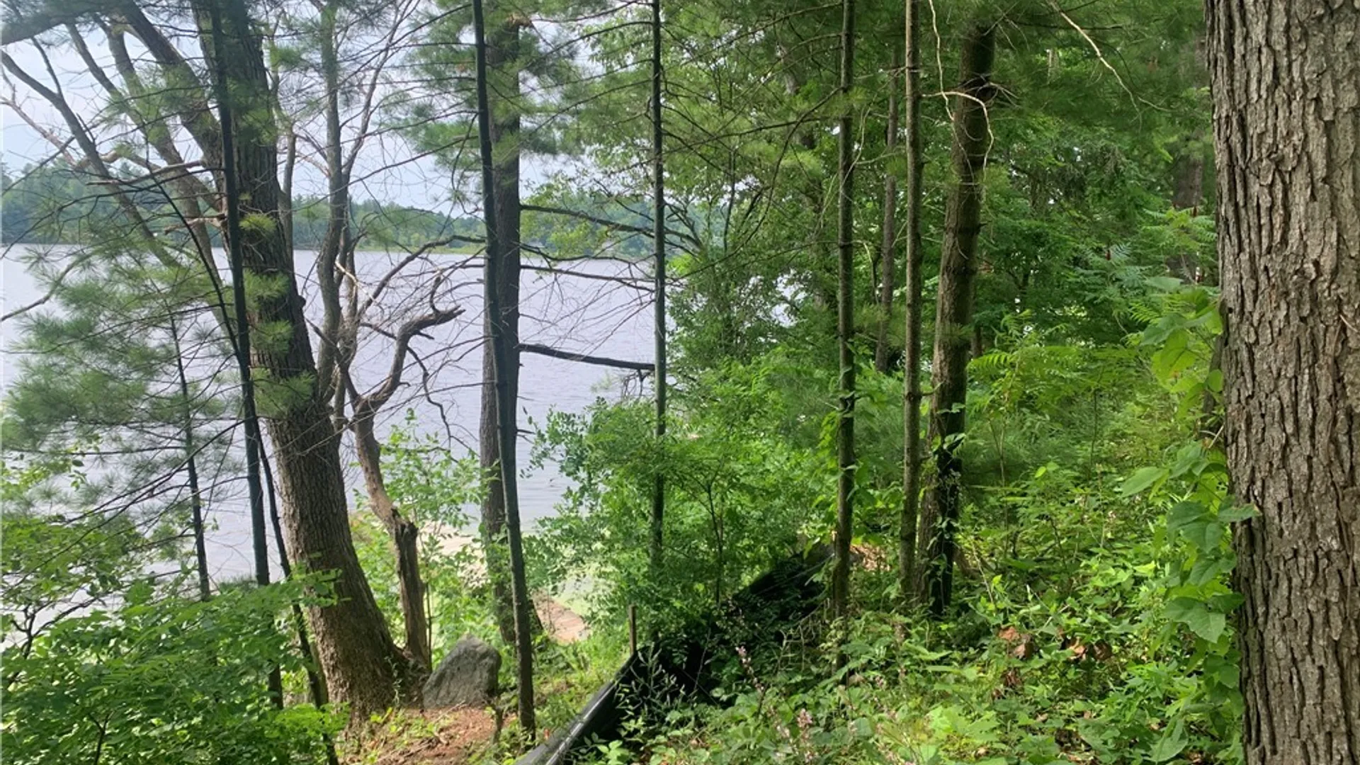 Property at 0 Chapman Point, Hammond, NY 13642 8