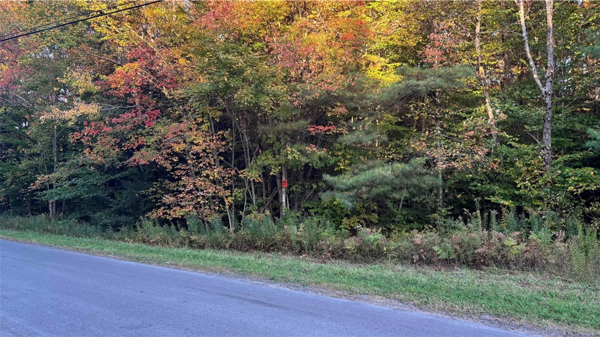 Property at 249 White Road, Parish, NY 13131 15