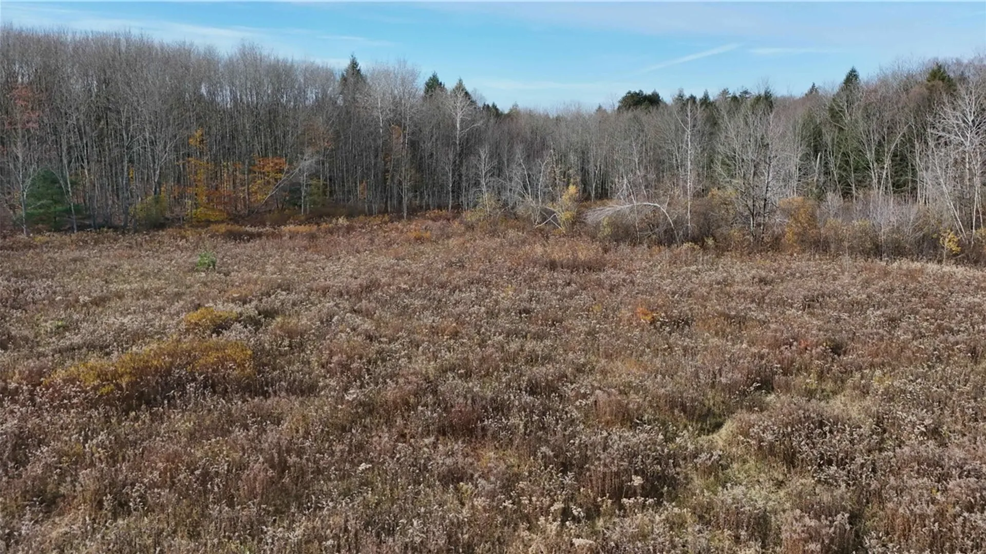 Property at 249 White Road, Parish, NY 13131 16