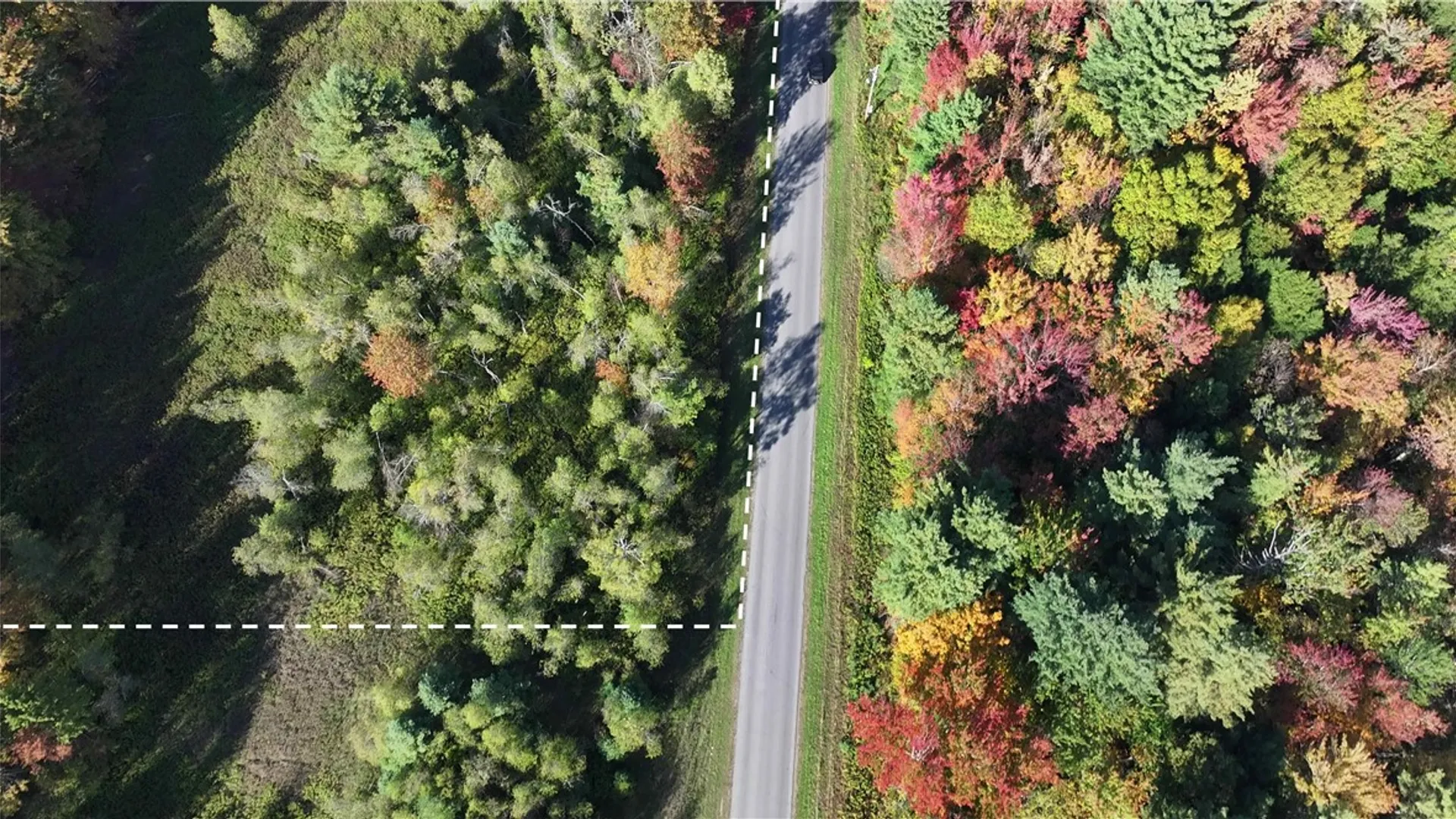 Property at 249 White Road, Parish, NY 13131 7