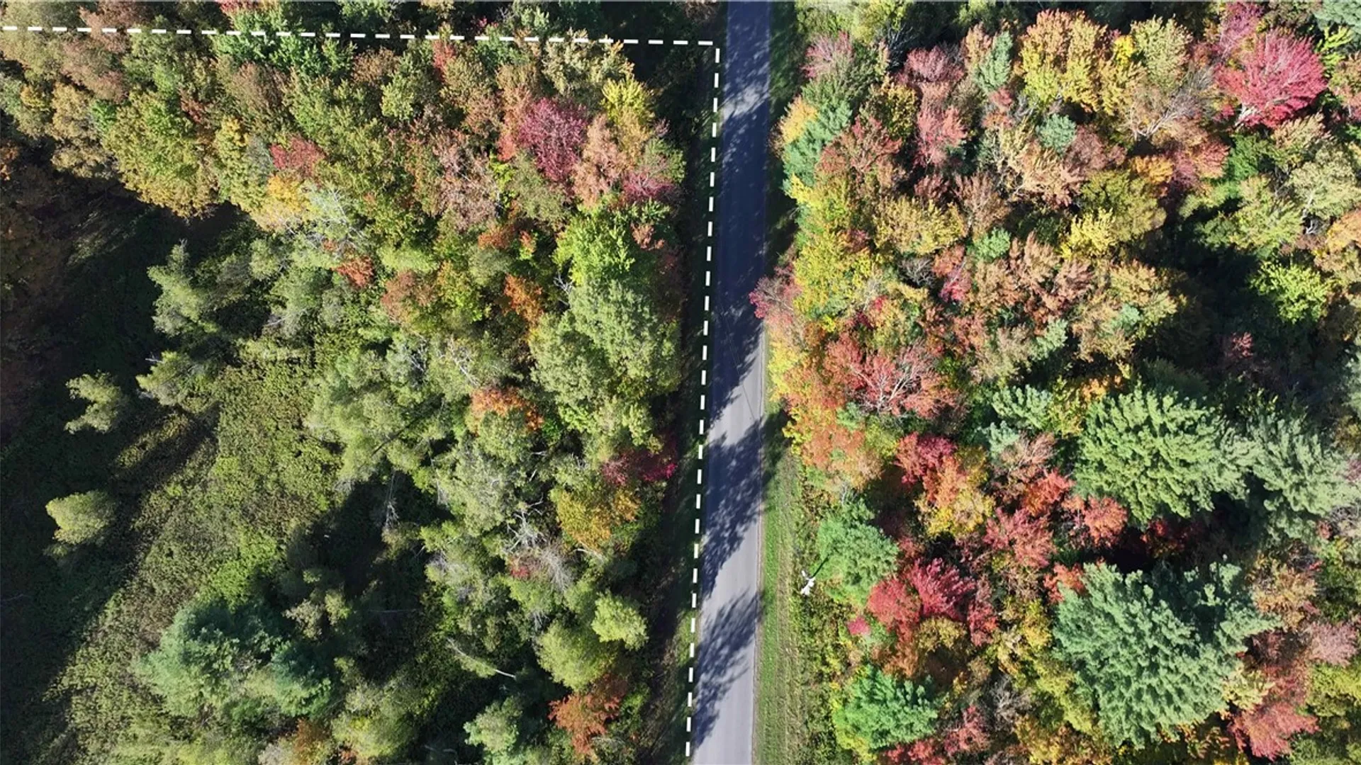 Property at 249 White Road, Parish, NY 13131 8