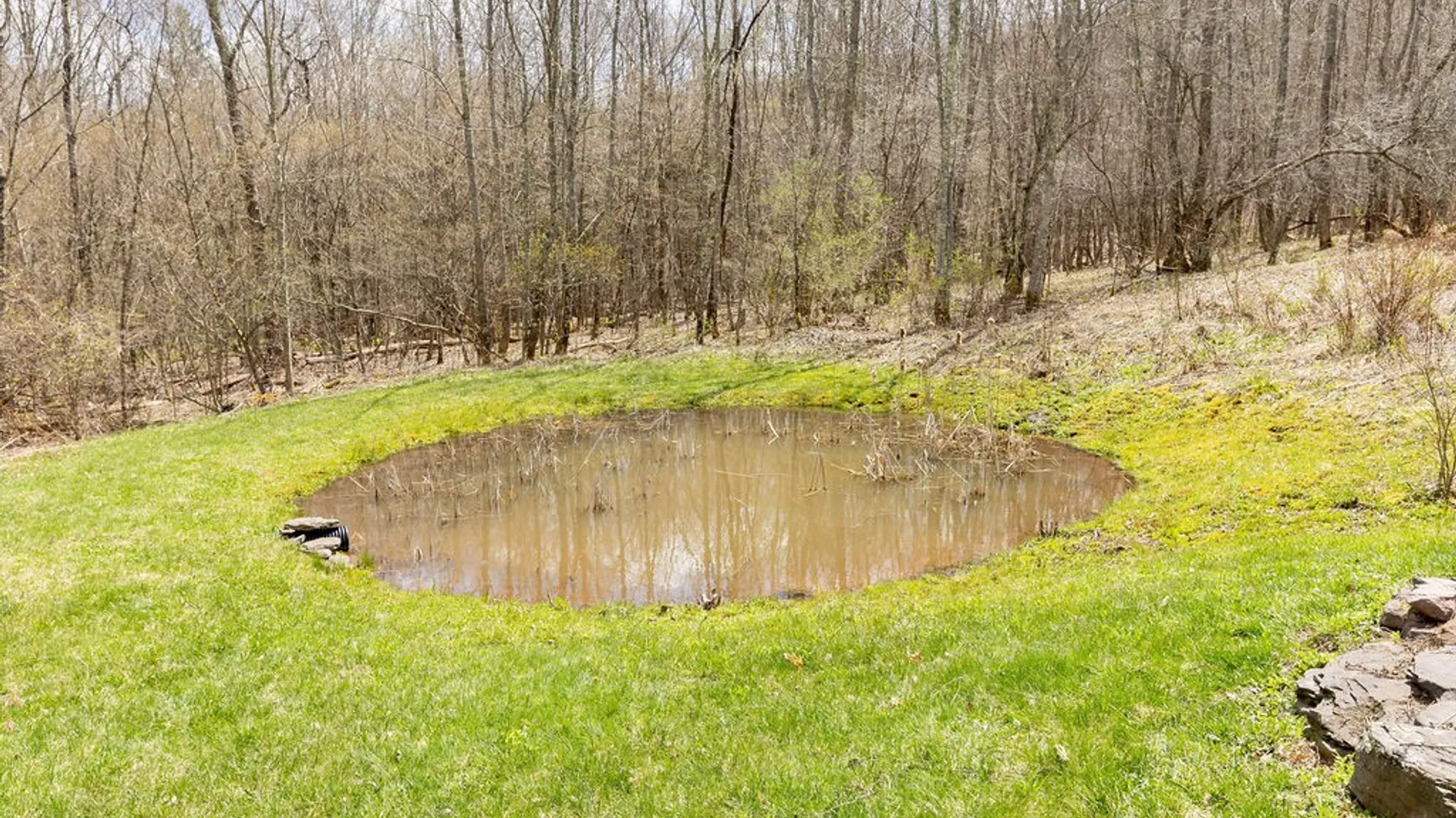 Property at 851 Lower Meeker Hollow Road, Roxbury, NY 12474 10