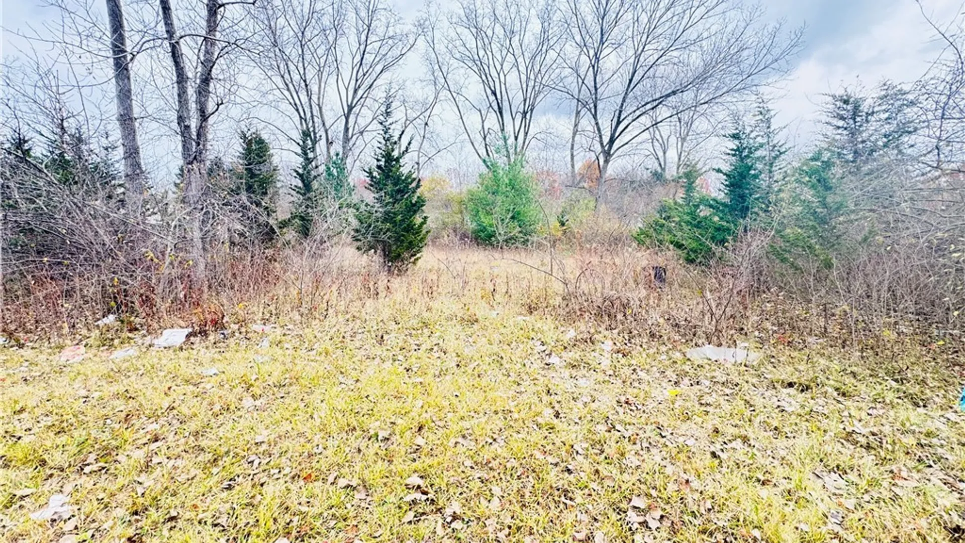 Property at 40 Fairgreen Drive, Amherst, NY 14228 2