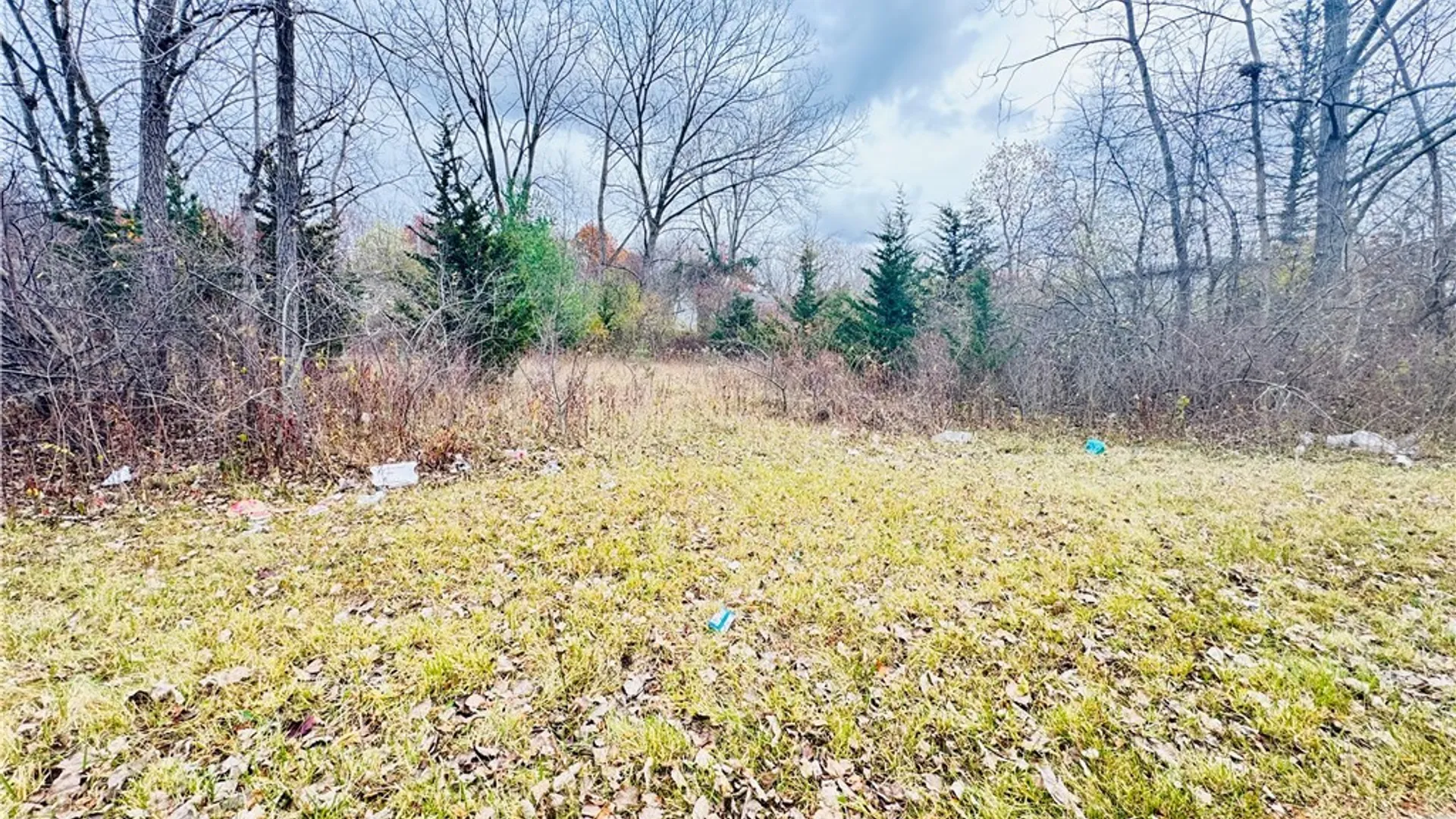 Property at 40 Fairgreen Drive, Amherst, NY 14228 4