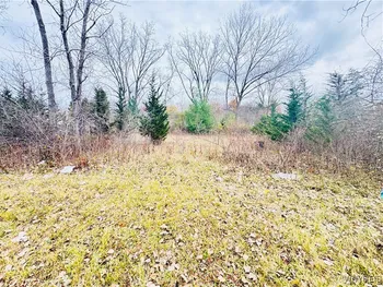 52 Fairgreen Drive, Amherst, NY 14228