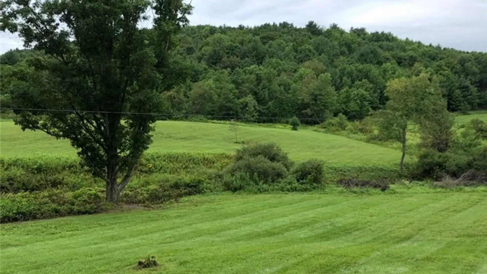 Property at 39 Sherman Hill Road, Sidney, NY 13839 2