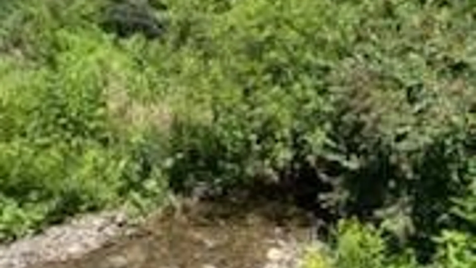 Property at 39 Sherman Hill Road, Sidney, NY 13839 4