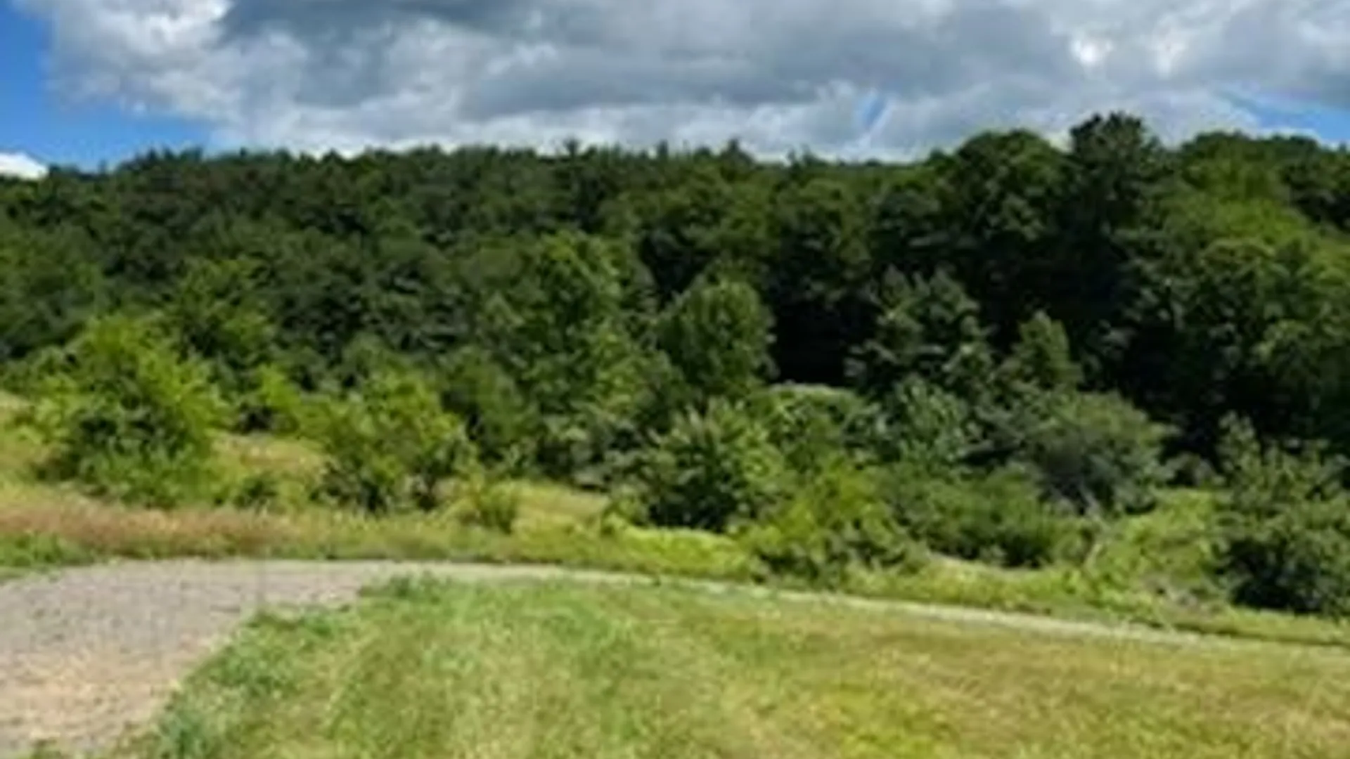 Property at 39 Sherman Hill Road, Sidney, NY 13839 5