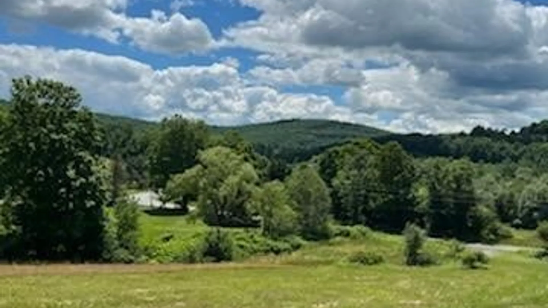 Property at 39 Sherman Hill Road, Sidney, NY 13839 7