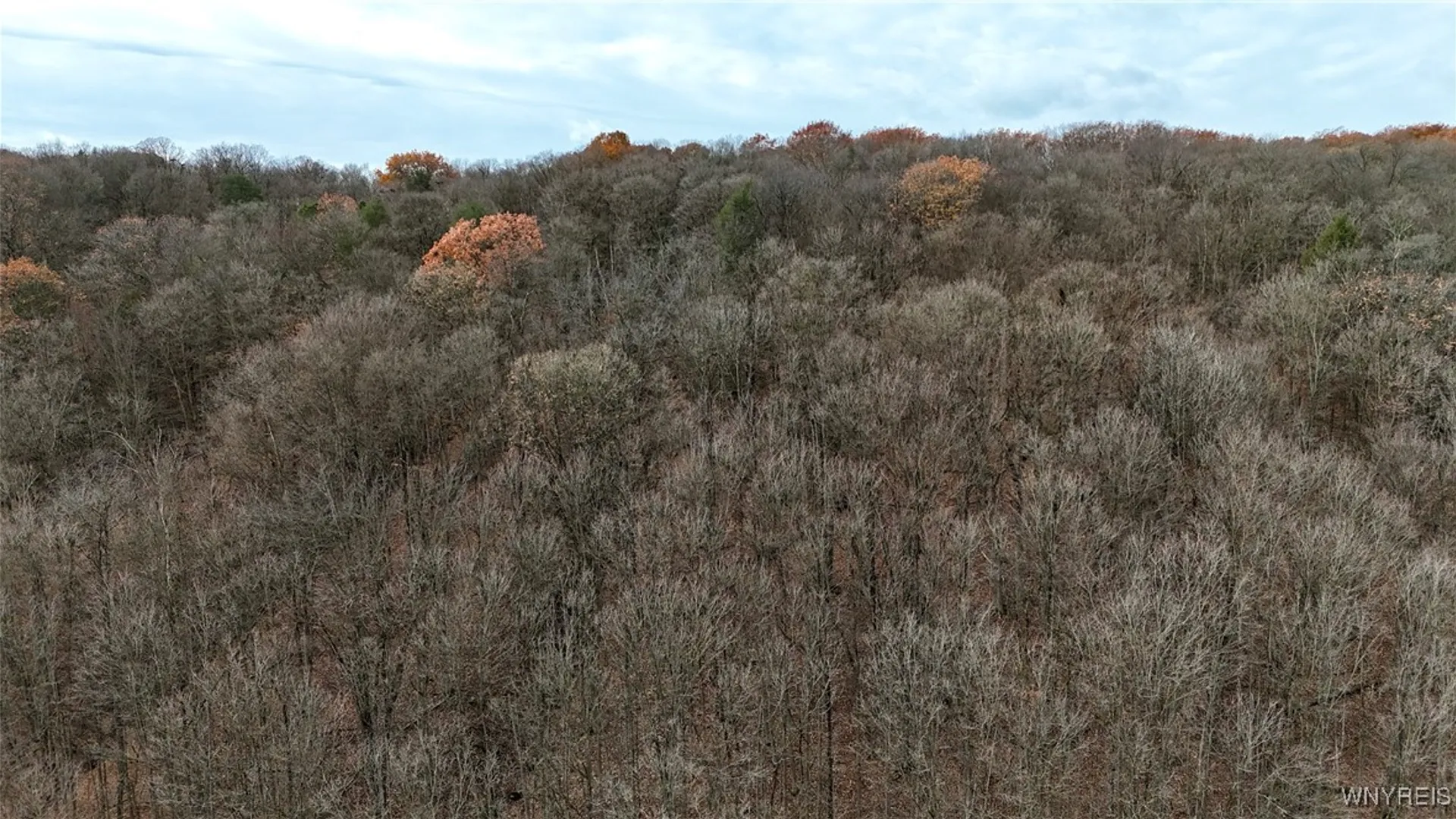 Property at Wyoming Street, Warsaw, NY 14569 2