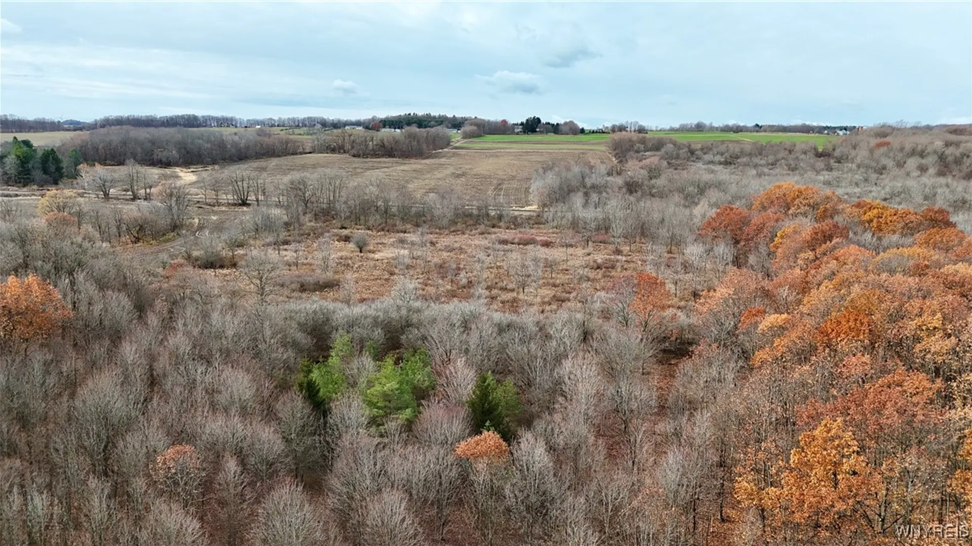 Property at Wyoming Street, Warsaw, NY 14569 4