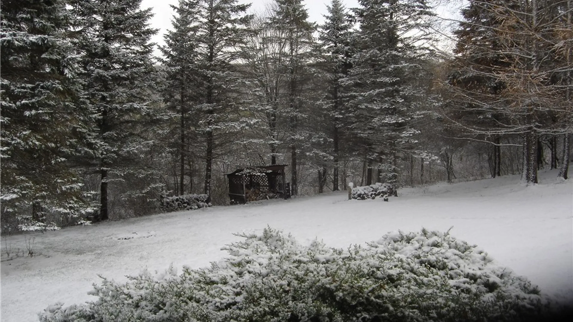 Property at 3773 Haskell Valley View Road, Clarksville, NY 14786 10