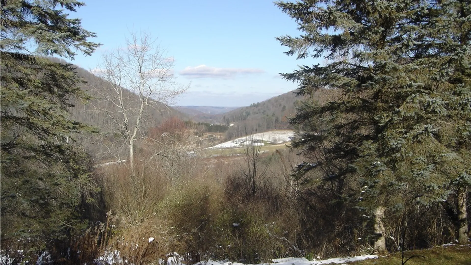 Property at 3773 Haskell Valley View Road, Clarksville, NY 14786 13