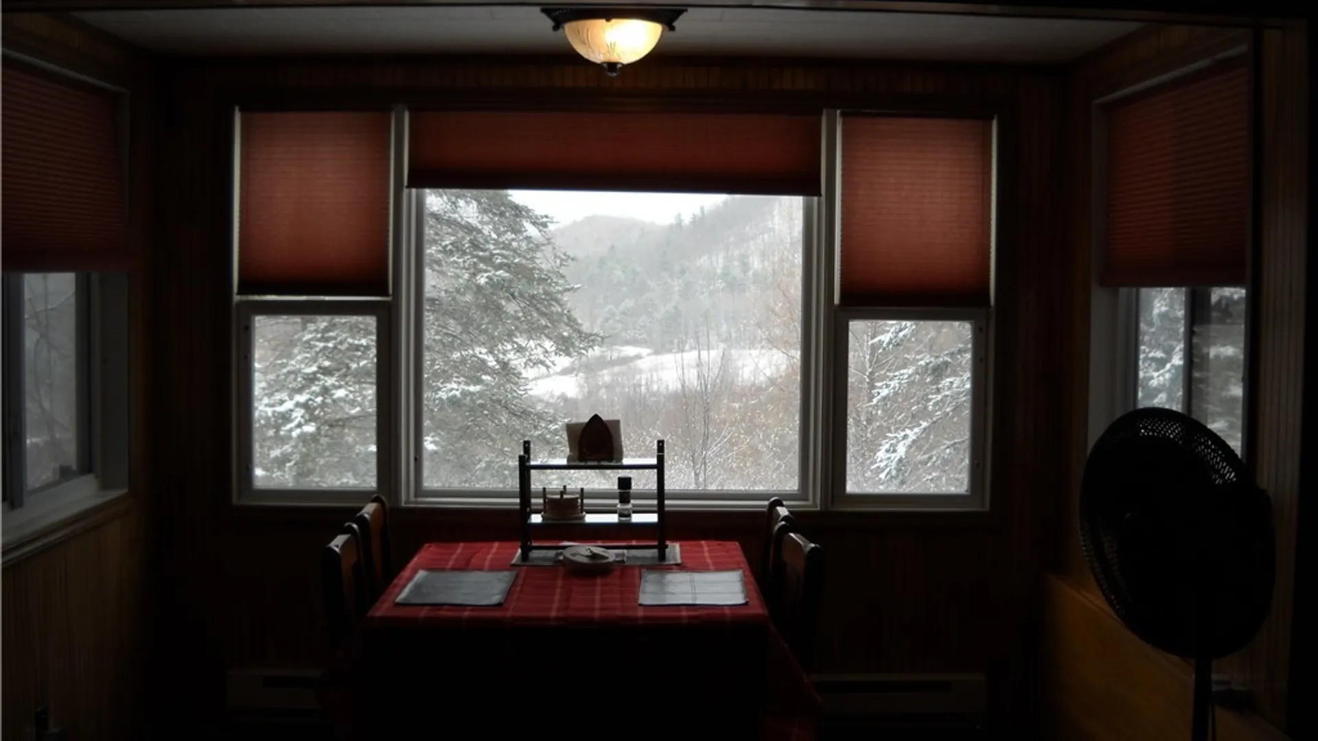 Property at 3773 Haskell Valley View Road, Clarksville, NY 14786 23