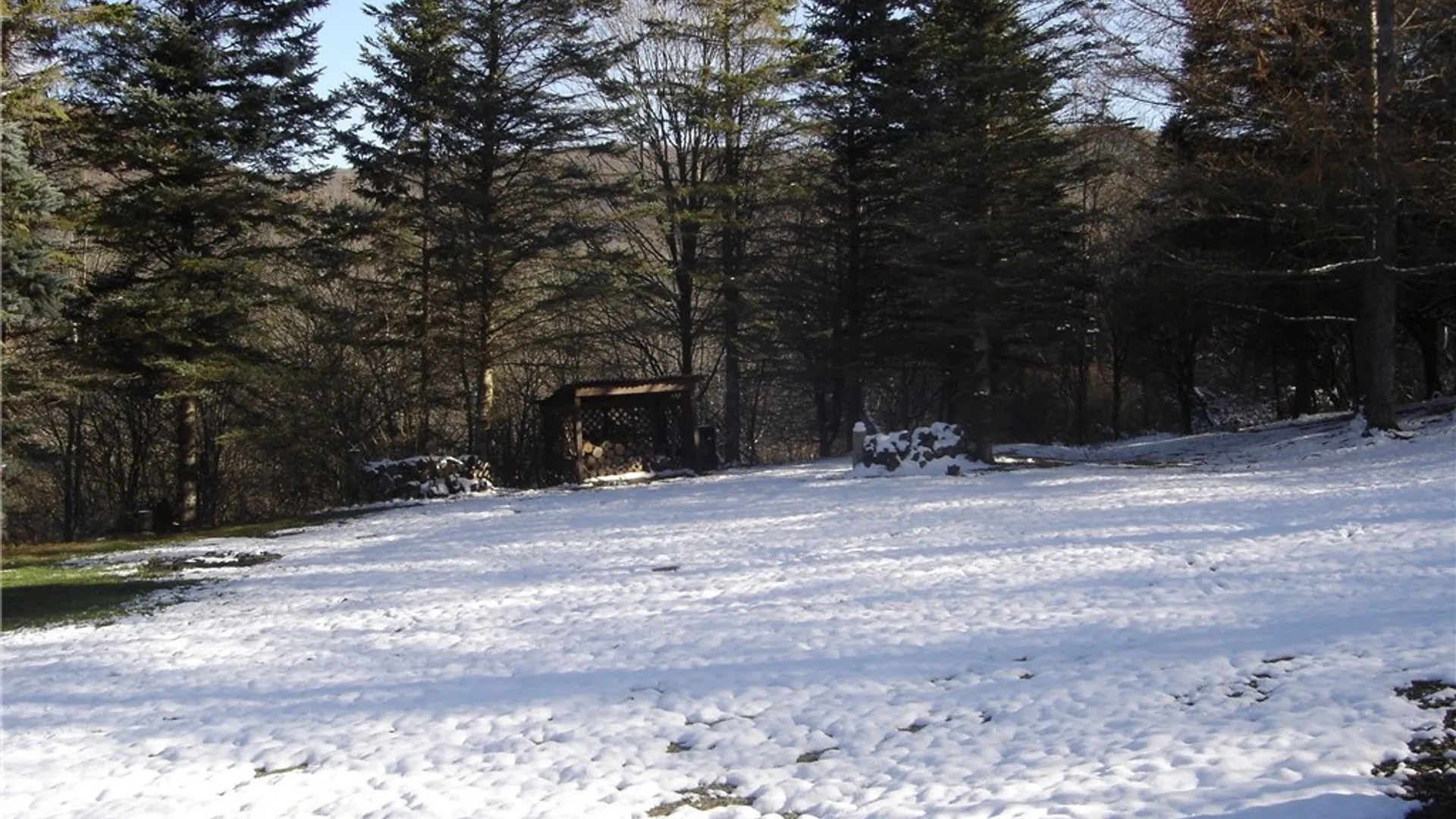 Property at 3773 Haskell Valley View Road, Clarksville, NY 14786 10