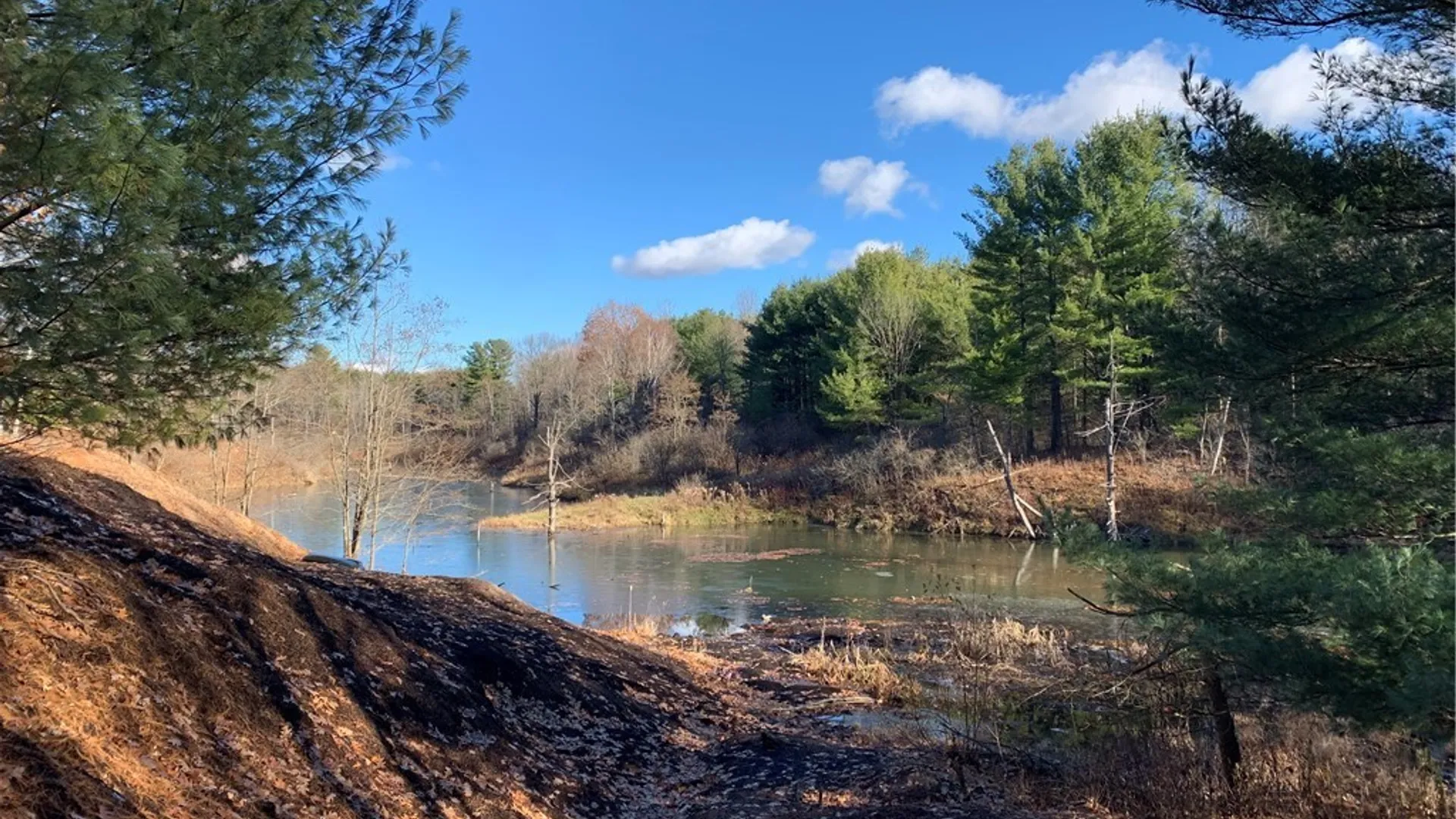 Property at 23610 Fetterly Road, Brownville, NY 13634 47