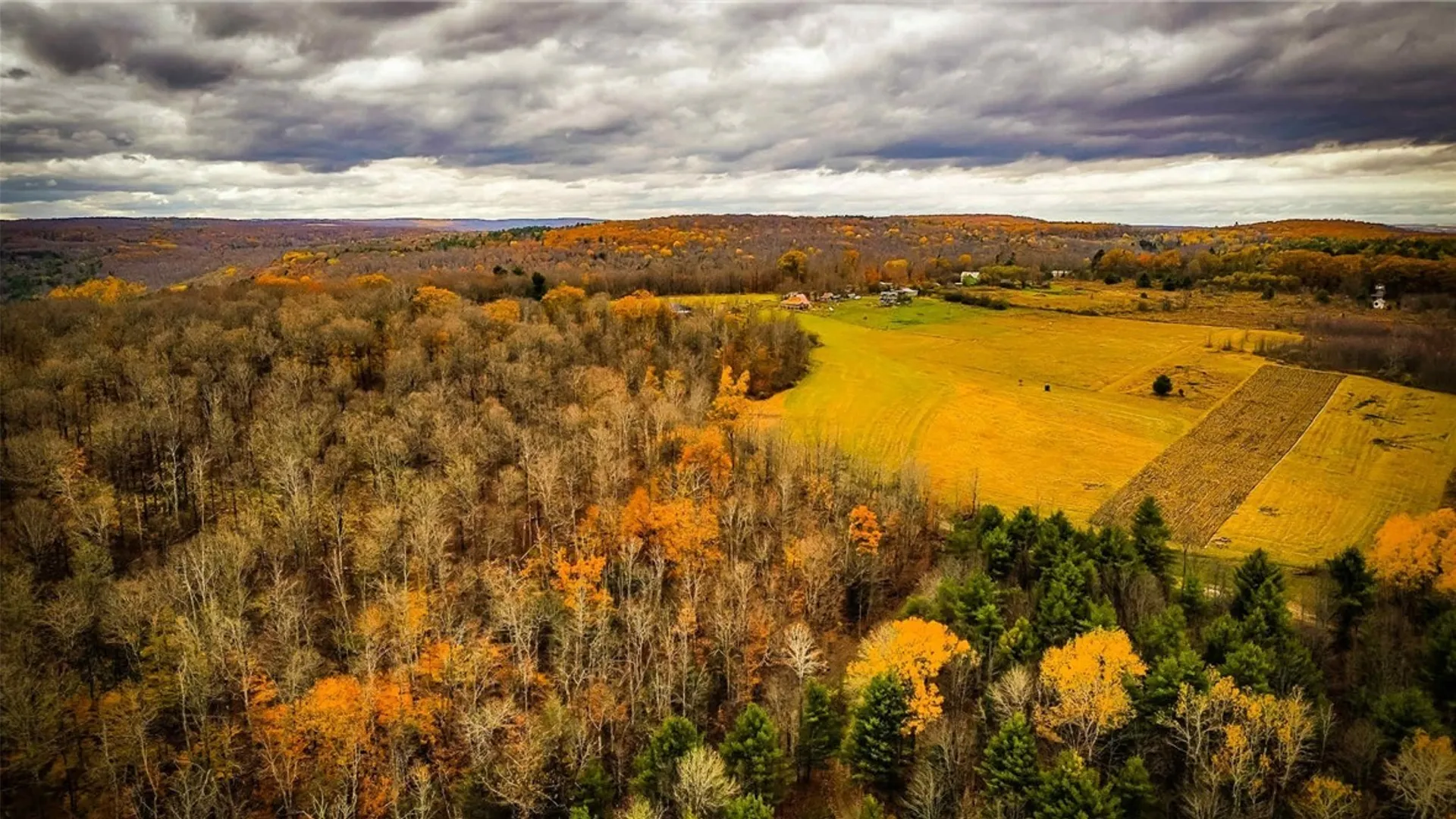 Property at Dawes Hill Road, Danby, NY 14867 12