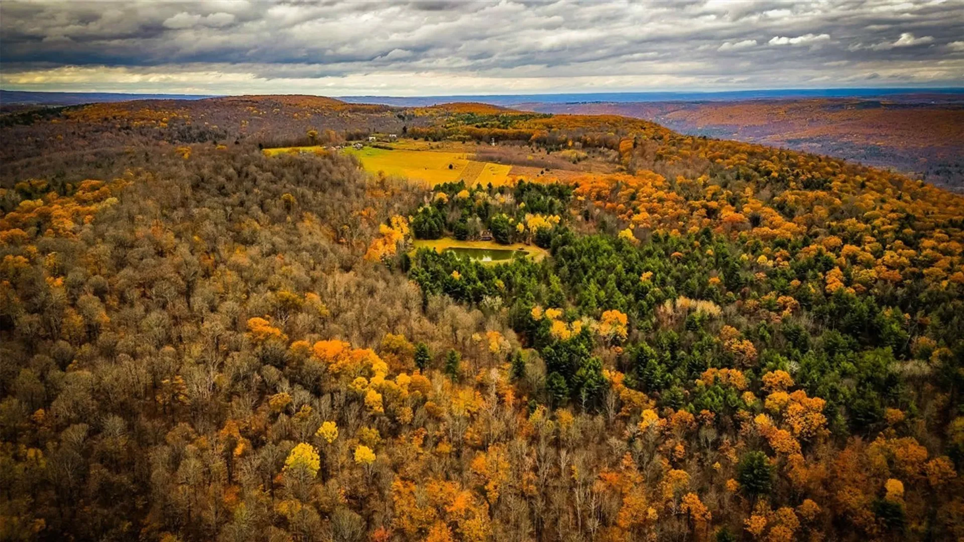 Property at Dawes Hill Road, Danby, NY 14867 13