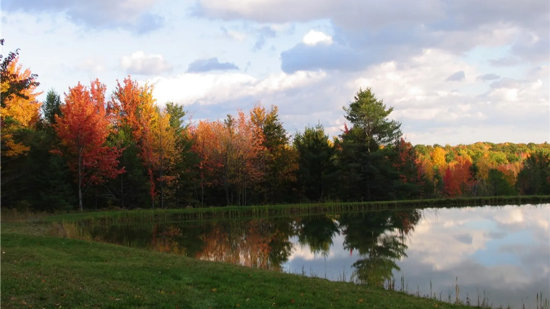 Property at Dawes Hill Road, Danby, NY 14867 16