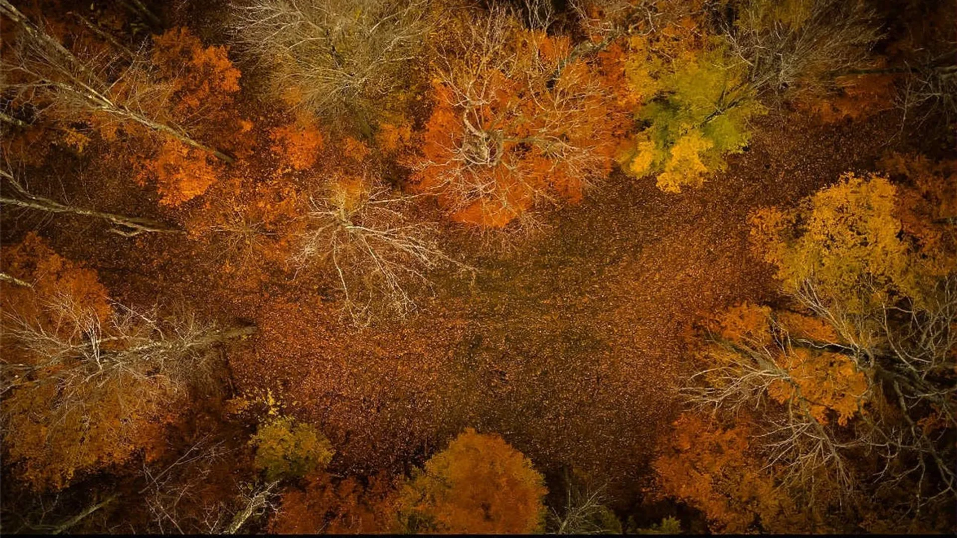 Property at Dawes Hill Road, Danby, NY 14867 17