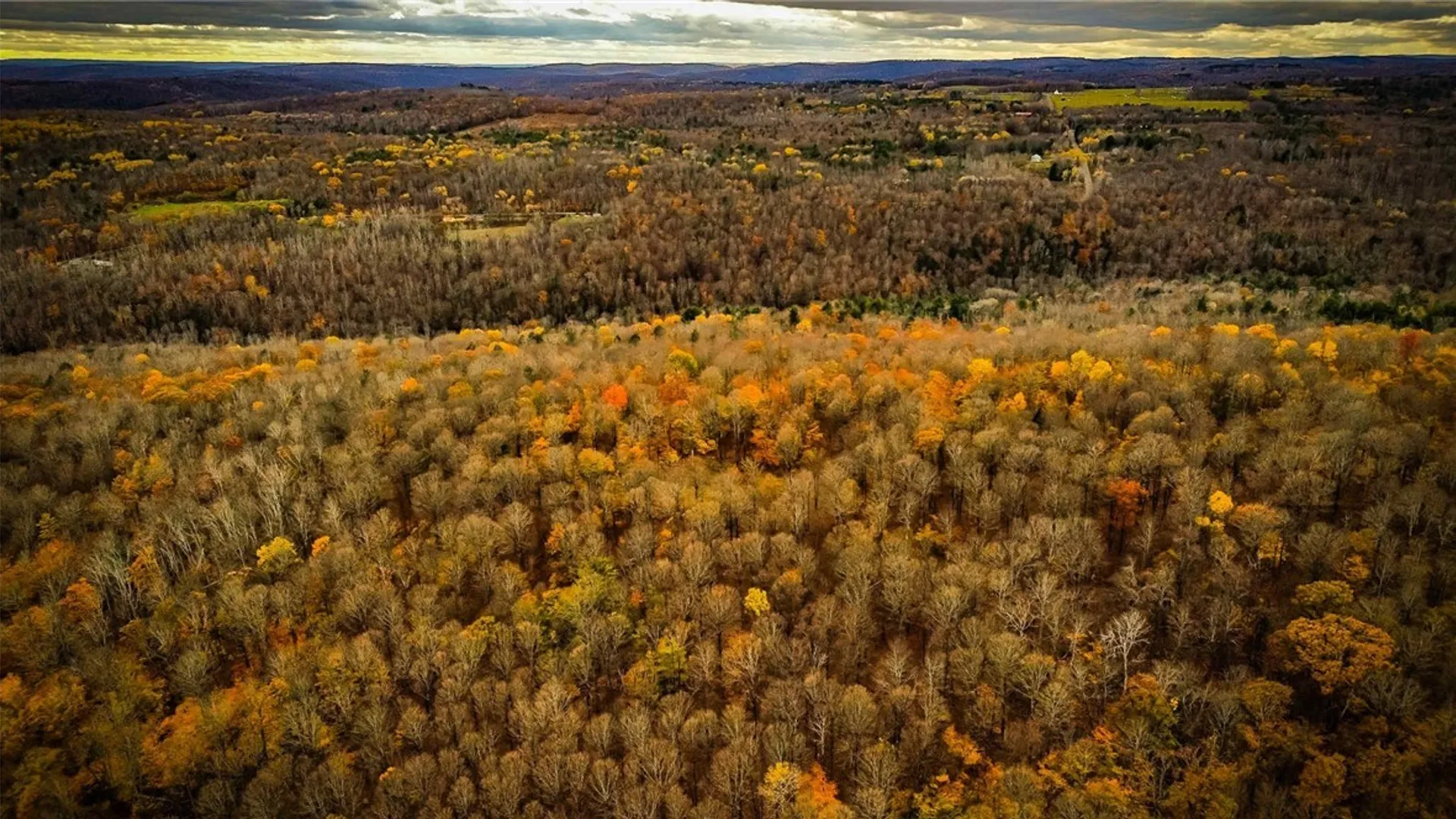 Property at Dawes Hill Road, Danby, NY 14867 20