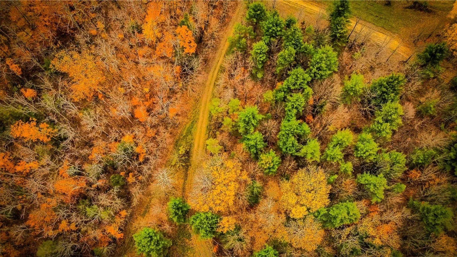 Property at Dawes Hill Road, Danby, NY 14867 22