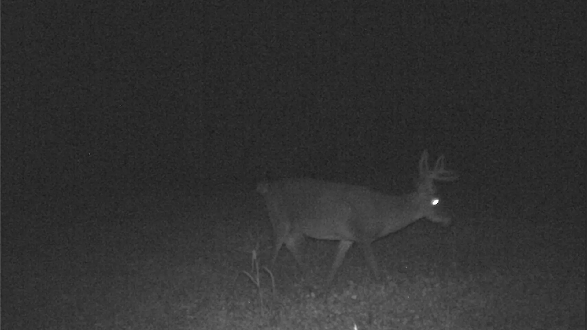 Property at Dawes Hill Road, Danby, NY 14867 25