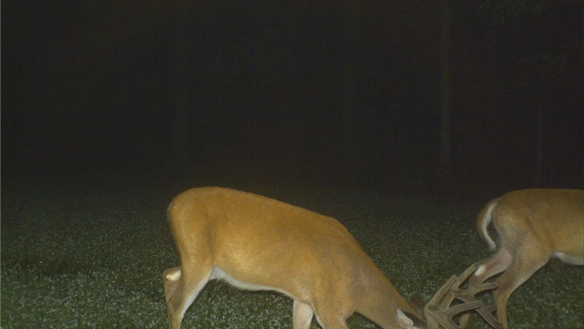 Property at Dawes Hill Road, Danby, NY 14867 26