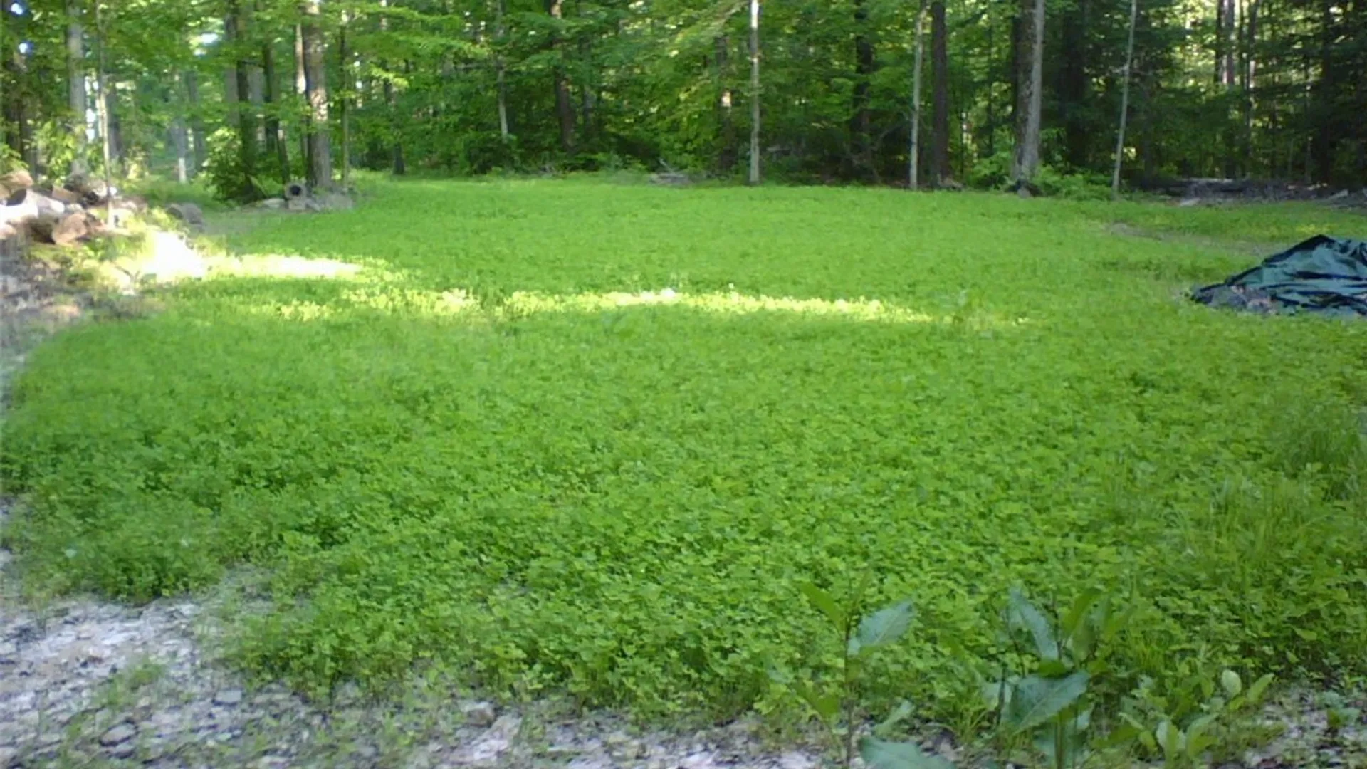 Property at Dawes Hill Road, Danby, NY 14867 27