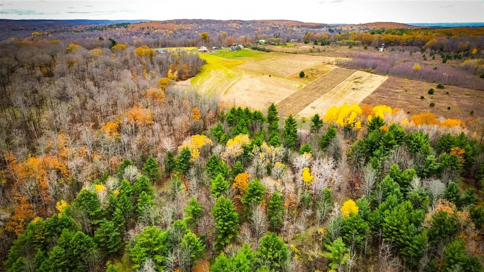 Property at Dawes Hill Road, Danby, NY 14867 30