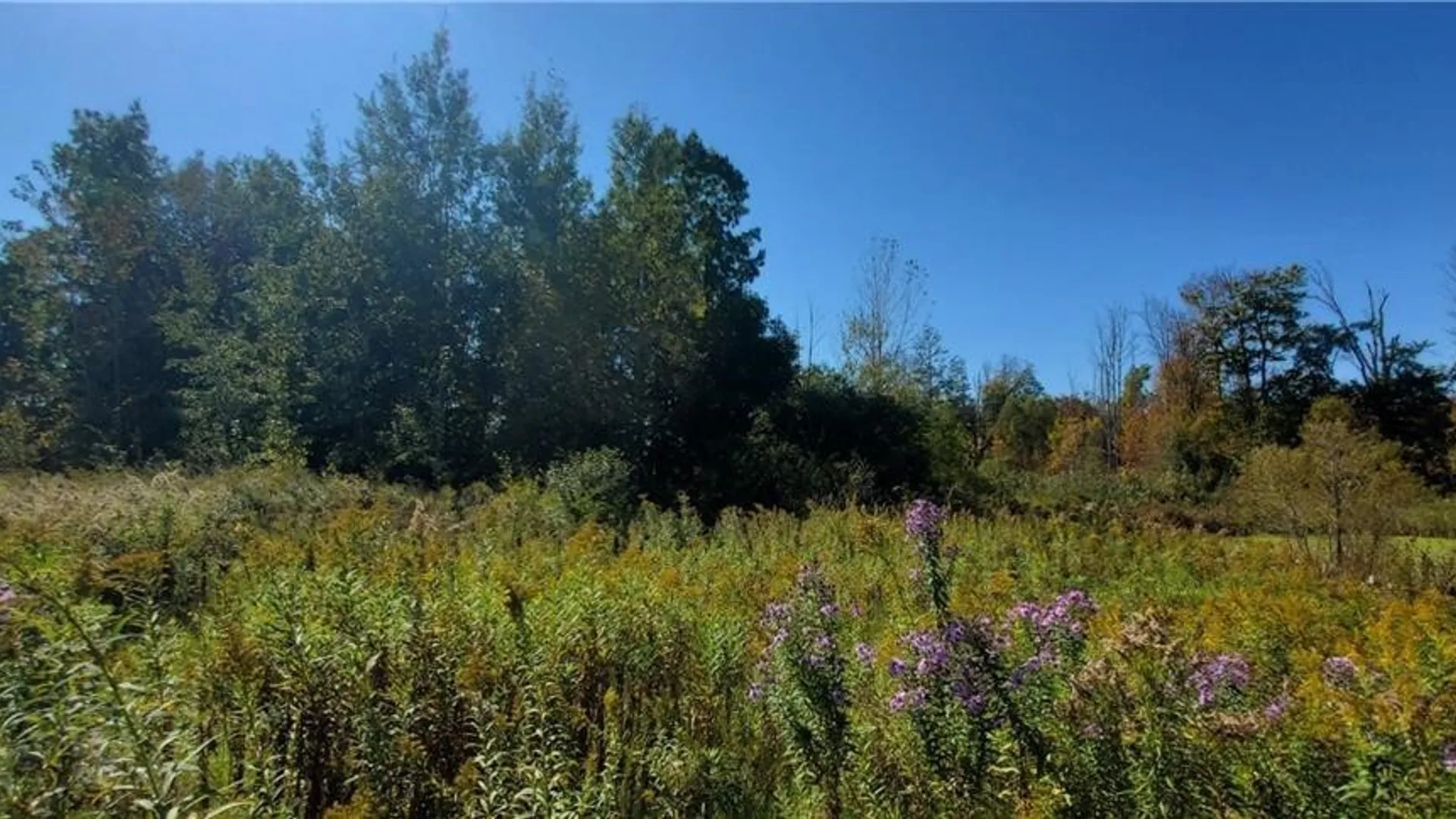 Property at Cross Creek Lot 32 Drive, Clay, NY 13090 6