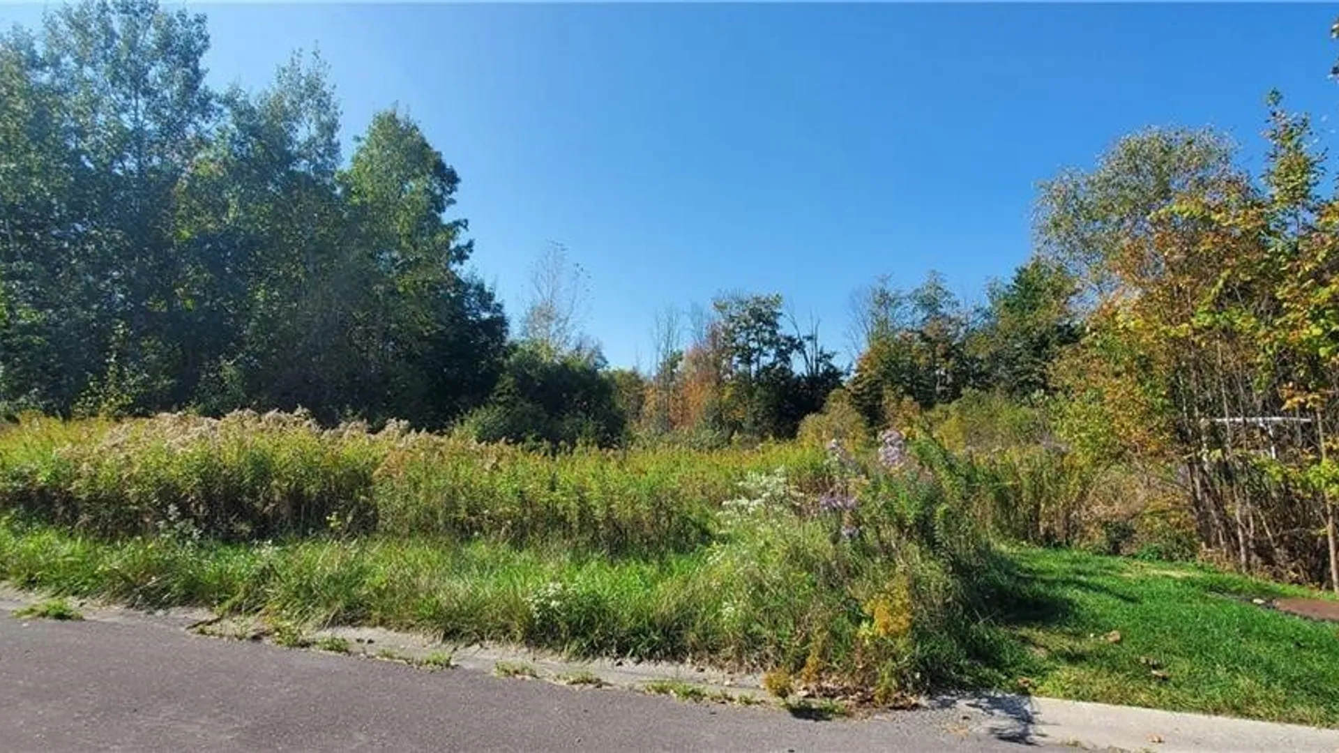 Property at Cross Creek Lot 32 Drive, Clay, NY 13090 9