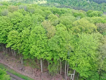 0 Dublin Terrace, Mansfield, NY 14779