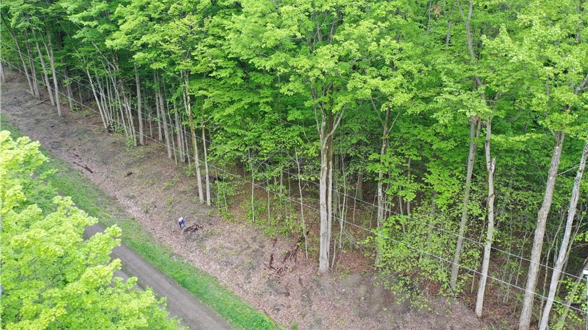 Property at 0 Dublin Terrace, Mansfield, NY 14779 6