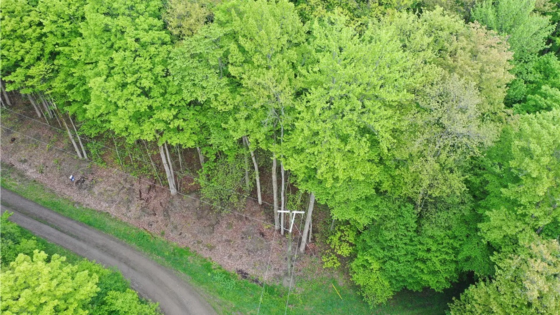 Property at 0 Dublin Terrace, Mansfield, NY 14779 9